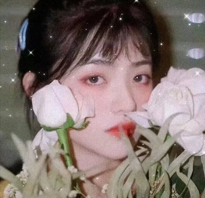 星月无尽